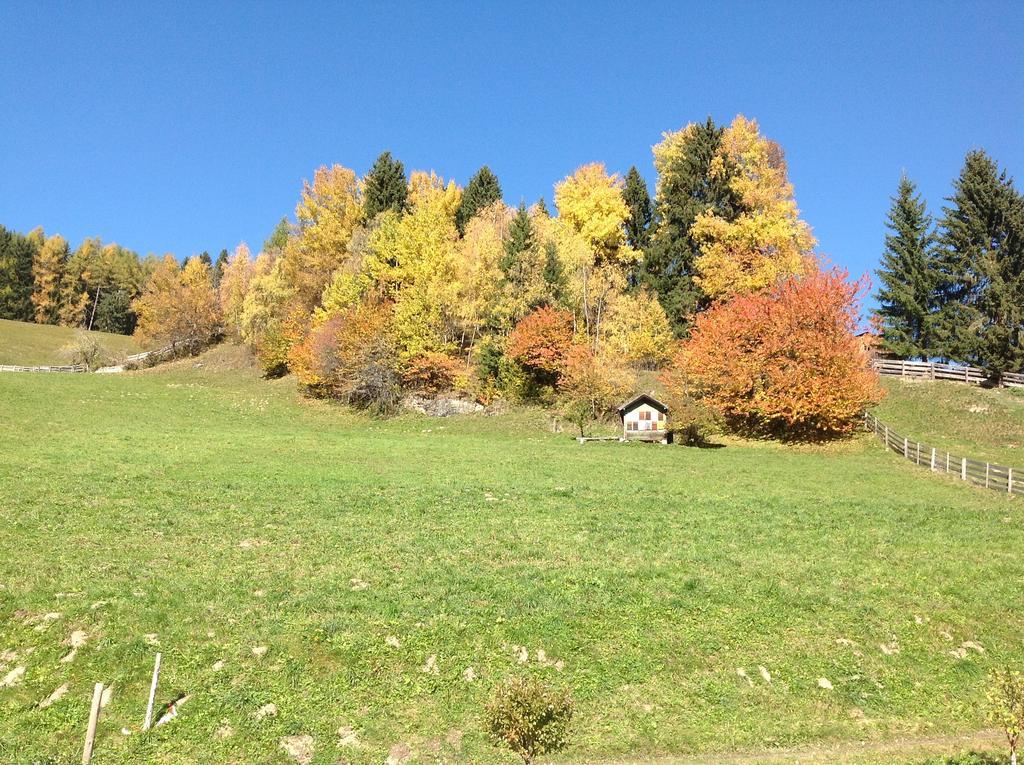 Berggasthaus Agritur Moserhof Prags Eksteriør billede